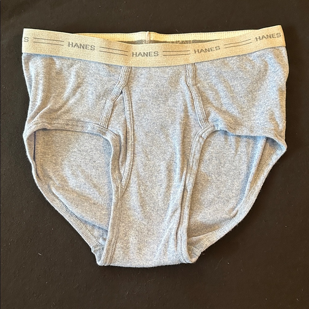 Hanes Light blue Briefs with grey Waistband